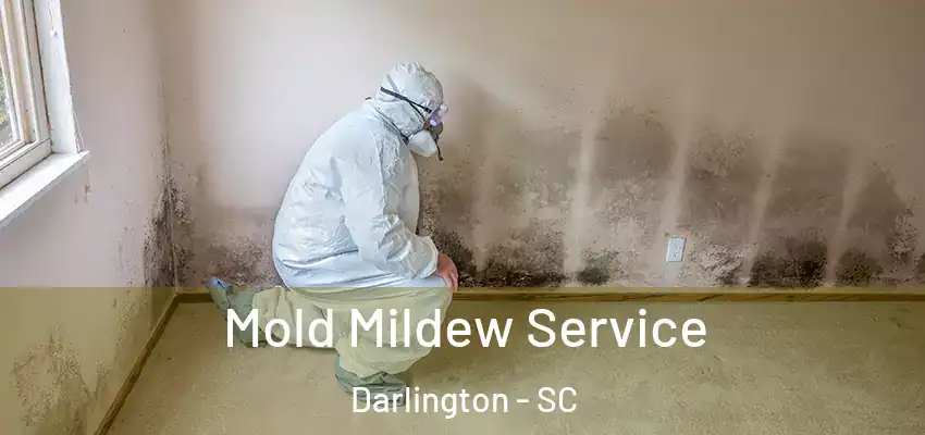  Mold Mildew Service Darlington - SC