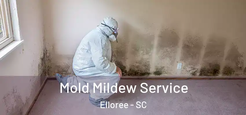  Mold Mildew Service Elloree - SC