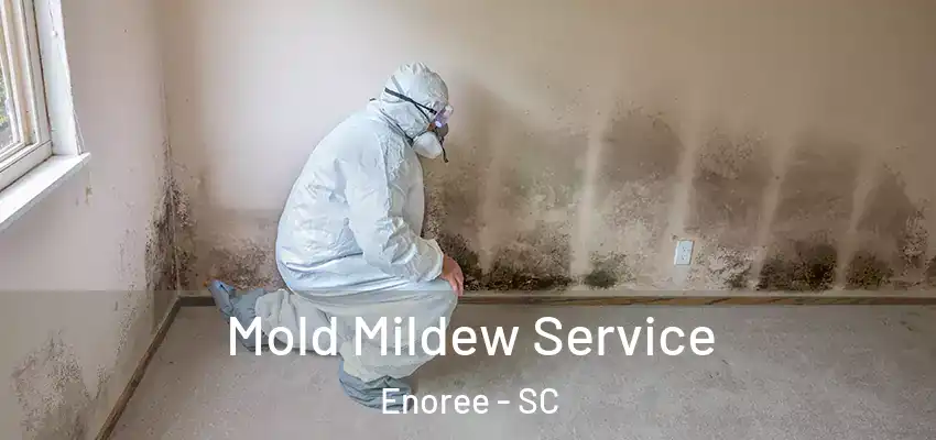  Mold Mildew Service Enoree - SC