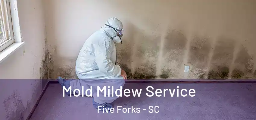  Mold Mildew Service Five Forks - SC