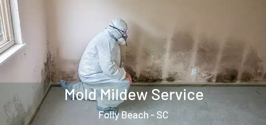 Mold Mildew Service Folly Beach - SC