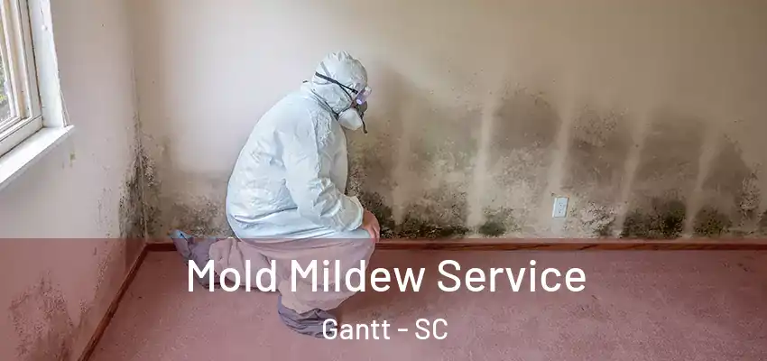  Mold Mildew Service Gantt - SC
