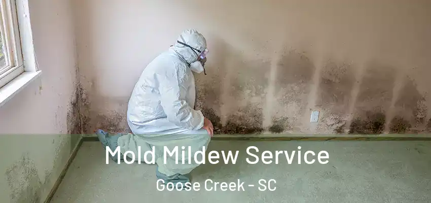  Mold Mildew Service Goose Creek - SC
