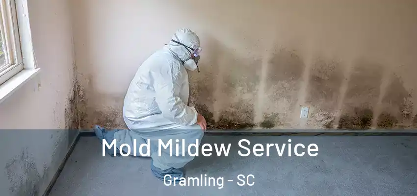 Mold Mildew Service Gramling - SC
