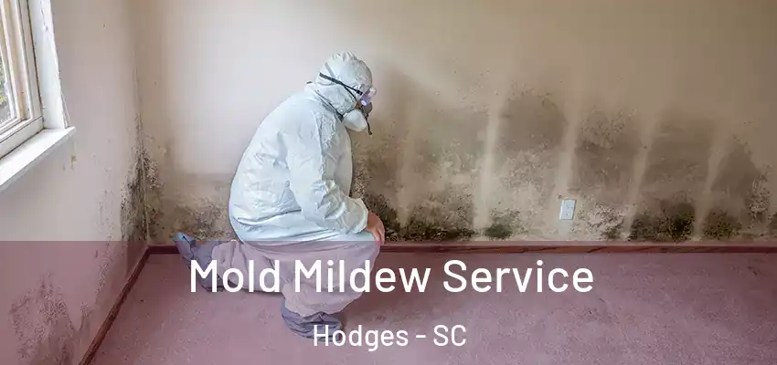 Mold Mildew Service Hodges - SC