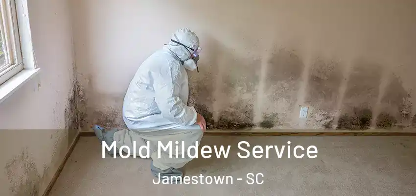  Mold Mildew Service Jamestown - SC