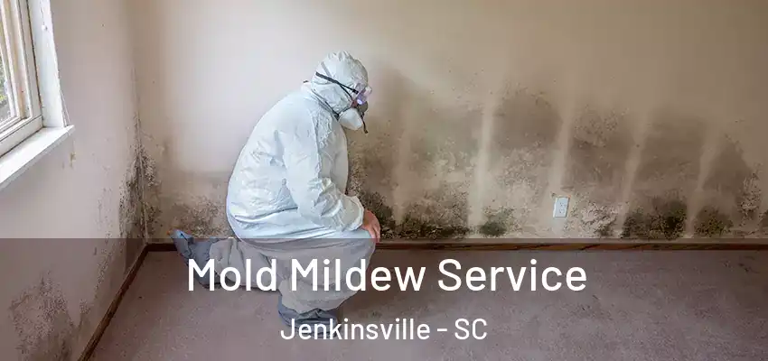  Mold Mildew Service Jenkinsville - SC