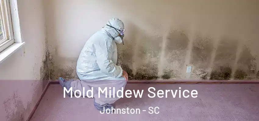  Mold Mildew Service Johnston - SC