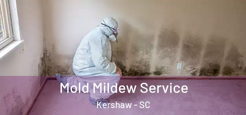  Mold Mildew Service Kershaw - SC