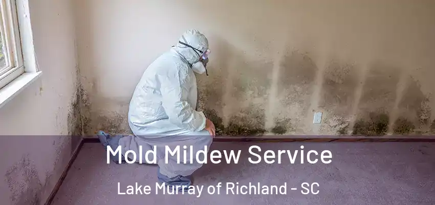 Mold Mildew Service Lake Murray of Richland - SC