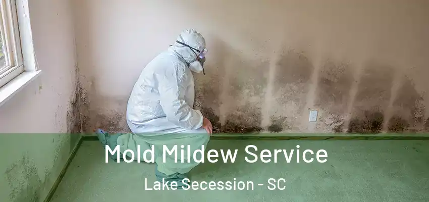 Mold Mildew Service Lake Secession - SC