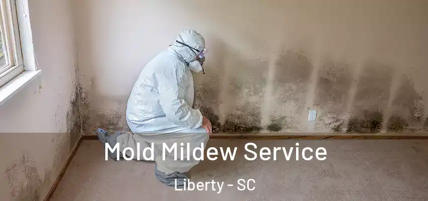  Mold Mildew Service Liberty - SC