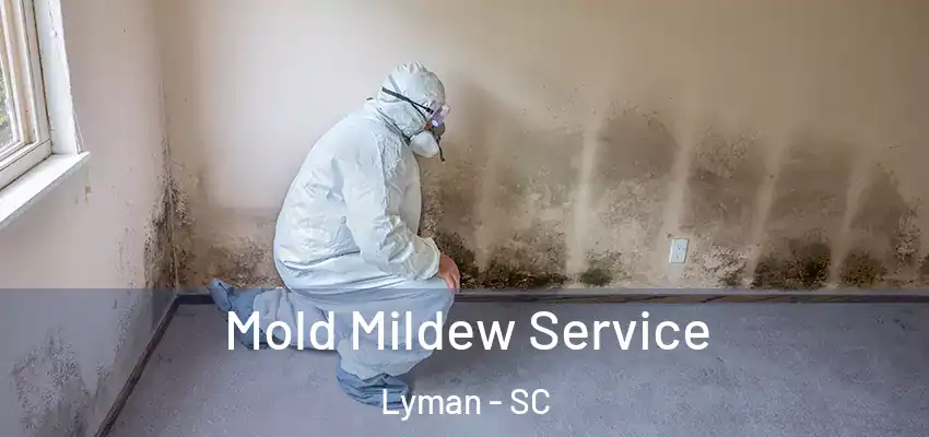  Mold Mildew Service Lyman - SC