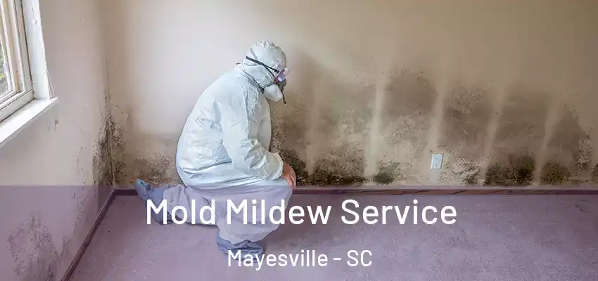  Mold Mildew Service Mayesville - SC