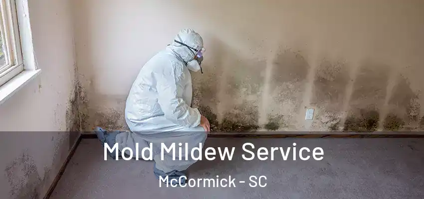 Mold Mildew Service McCormick - SC
