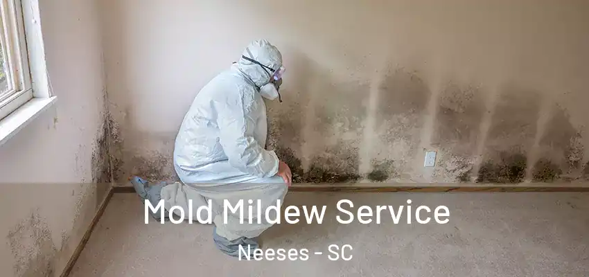  Mold Mildew Service Neeses - SC