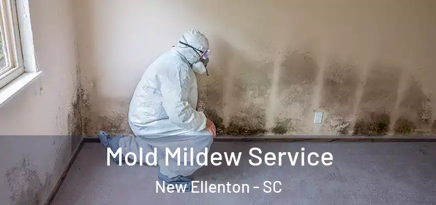  Mold Mildew Service New Ellenton - SC