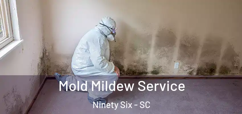  Mold Mildew Service Ninety Six - SC