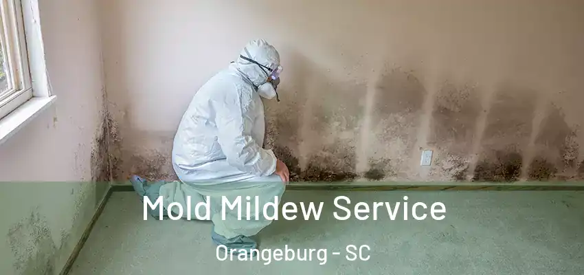  Mold Mildew Service Orangeburg - SC