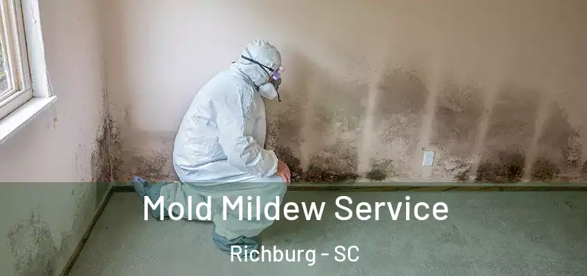 Mold Mildew Service Richburg - SC
