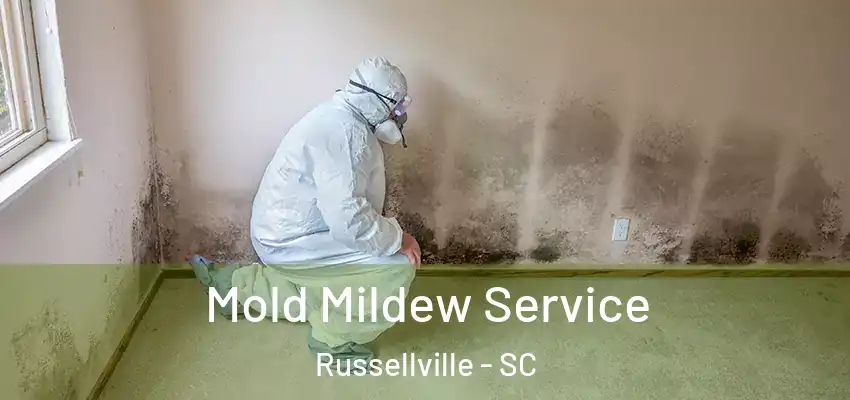  Mold Mildew Service Russellville - SC