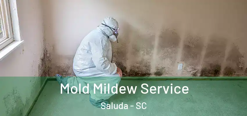  Mold Mildew Service Saluda - SC