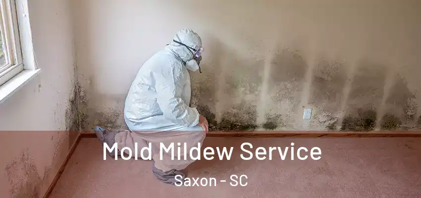  Mold Mildew Service Saxon - SC