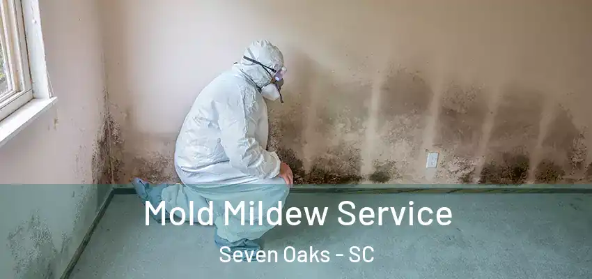 Mold Mildew Service Seven Oaks - SC