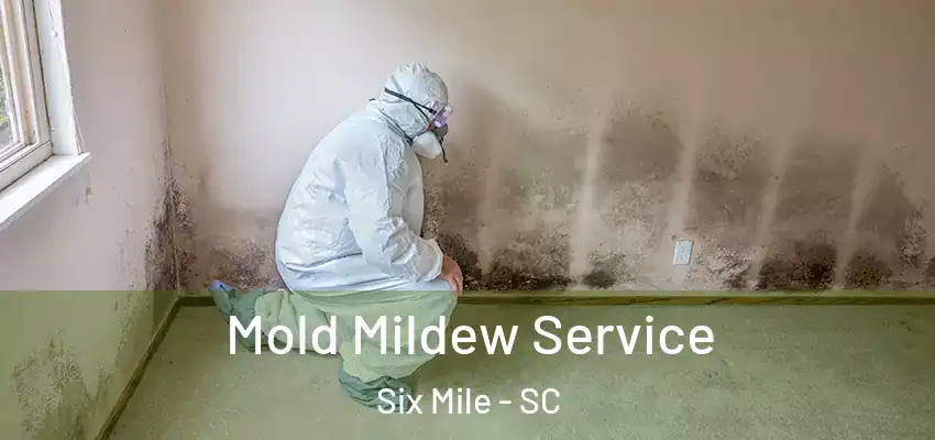 Mold Mildew Service Six Mile - SC