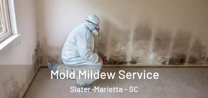  Mold Mildew Service Slater-Marietta - SC