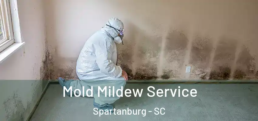  Mold Mildew Service Spartanburg - SC