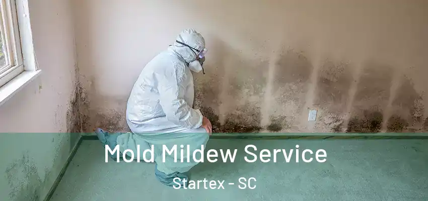 Mold Mildew Service Startex - SC