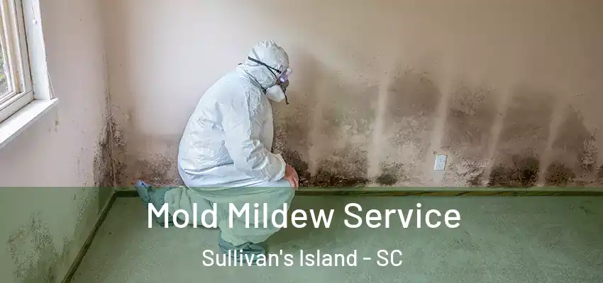  Mold Mildew Service Sullivan's Island - SC