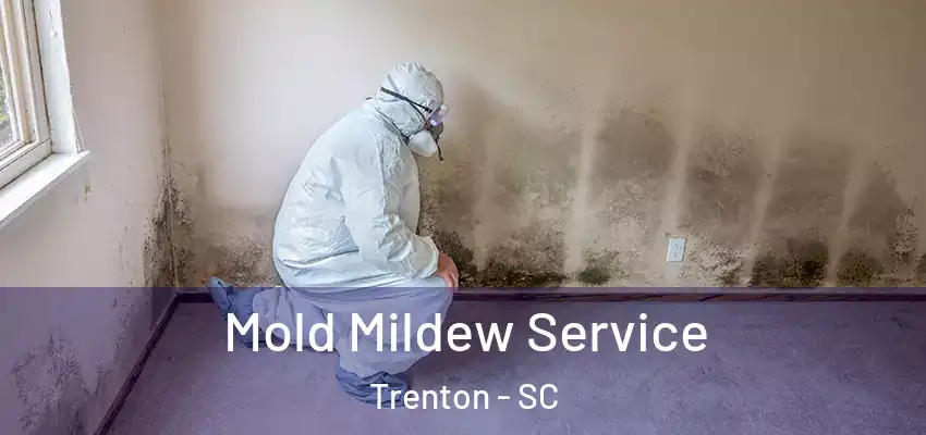 Mold Mildew Service Trenton - SC