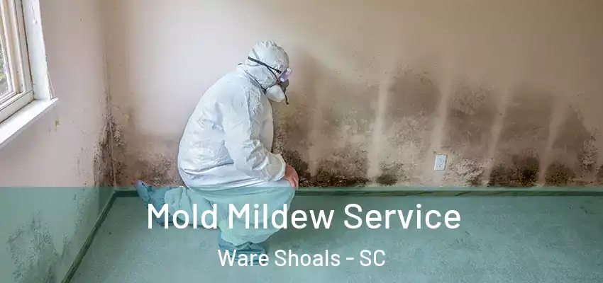  Mold Mildew Service Ware Shoals - SC