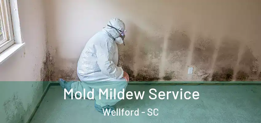  Mold Mildew Service Wellford - SC