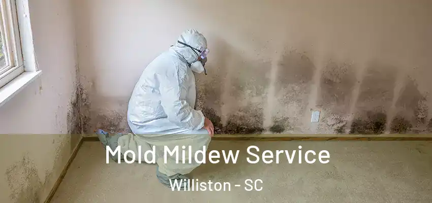 Mold Mildew Service Williston - SC