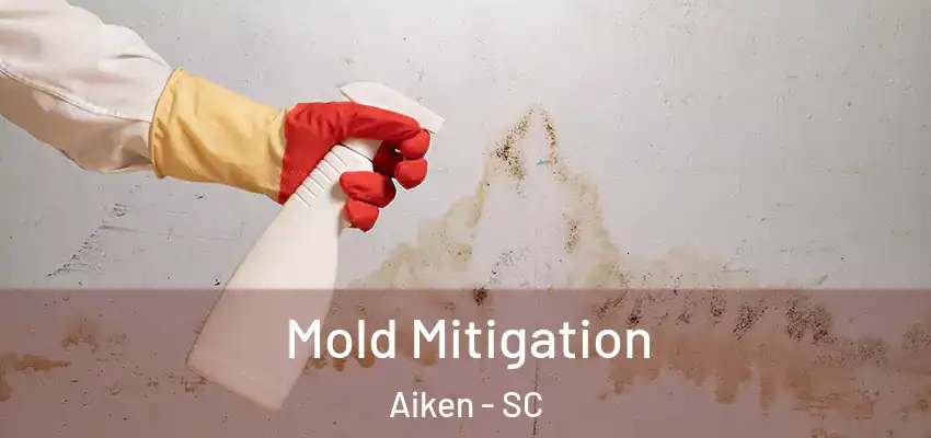 Mold Mitigation Aiken - SC