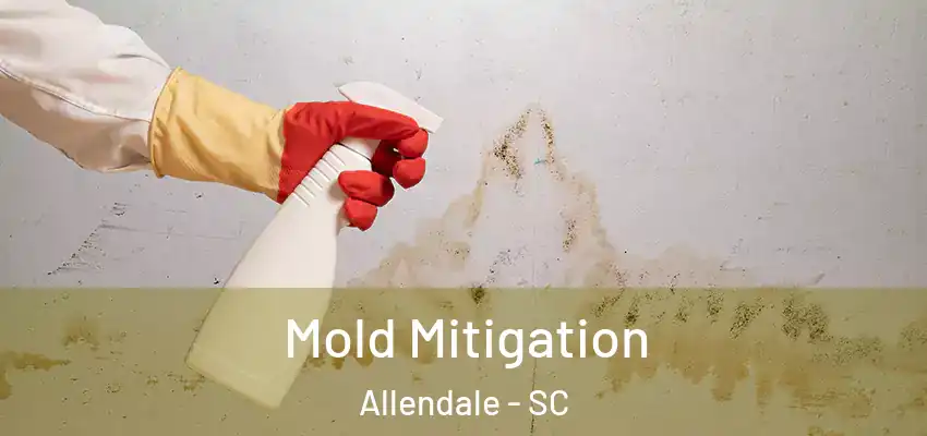  Mold Mitigation Allendale - SC