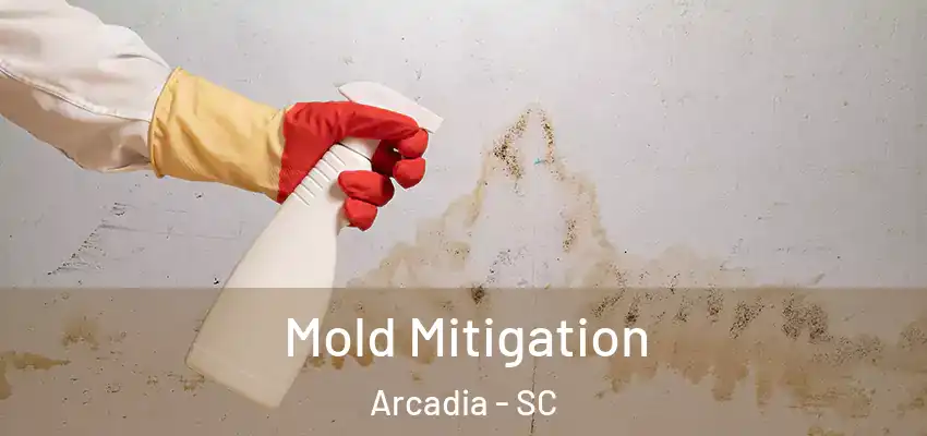 Mold Mitigation Arcadia - SC