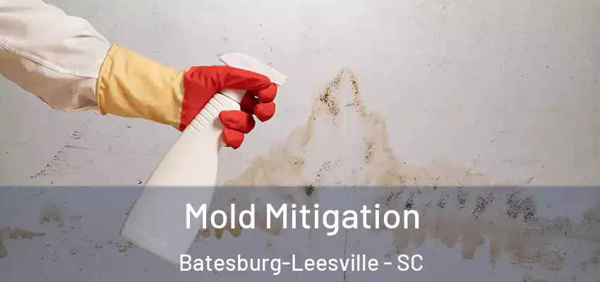  Mold Mitigation Batesburg-Leesville - SC