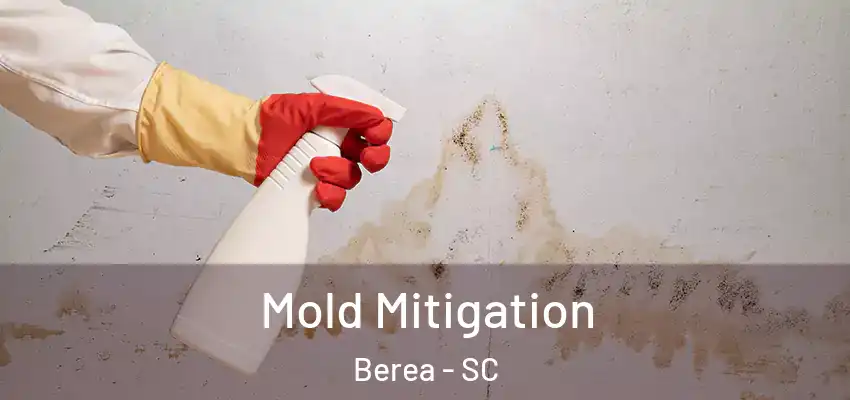 Mold Mitigation Berea - SC