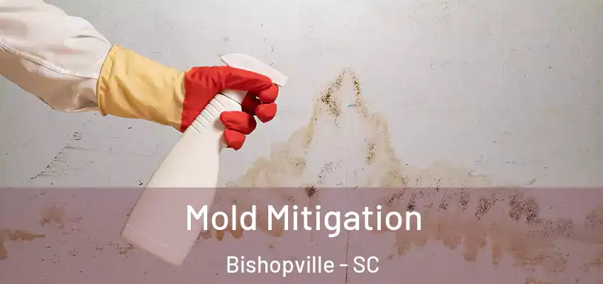 Mold Mitigation Bishopville - SC