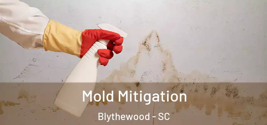  Mold Mitigation Blythewood - SC