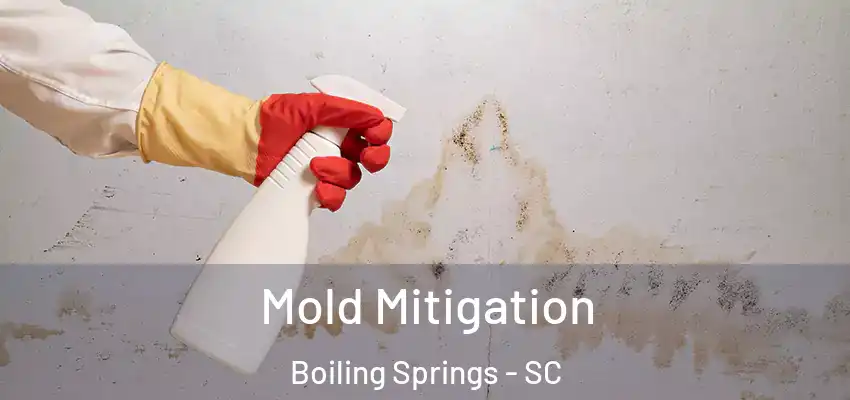 Mold Mitigation Boiling Springs - SC