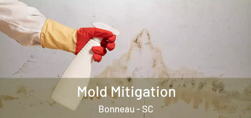 Mold Mitigation Bonneau - SC