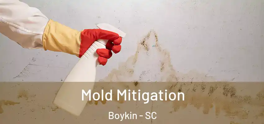 Mold Mitigation Boykin - SC