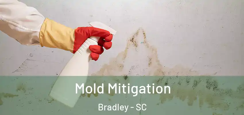 Mold Mitigation Bradley - SC