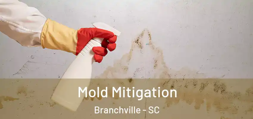 Mold Mitigation Branchville - SC