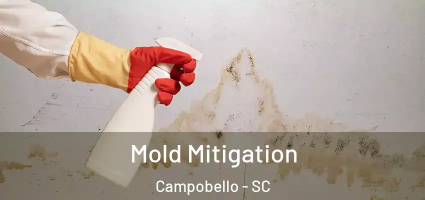 Mold Mitigation Campobello - SC